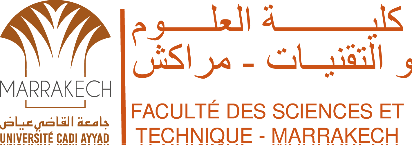 FSTM